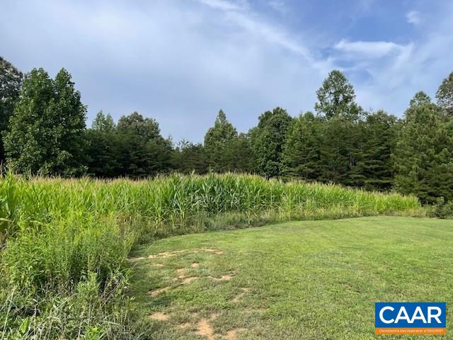 363 Paradise Road Farmville, VA 23901 - Photo 7 of 21