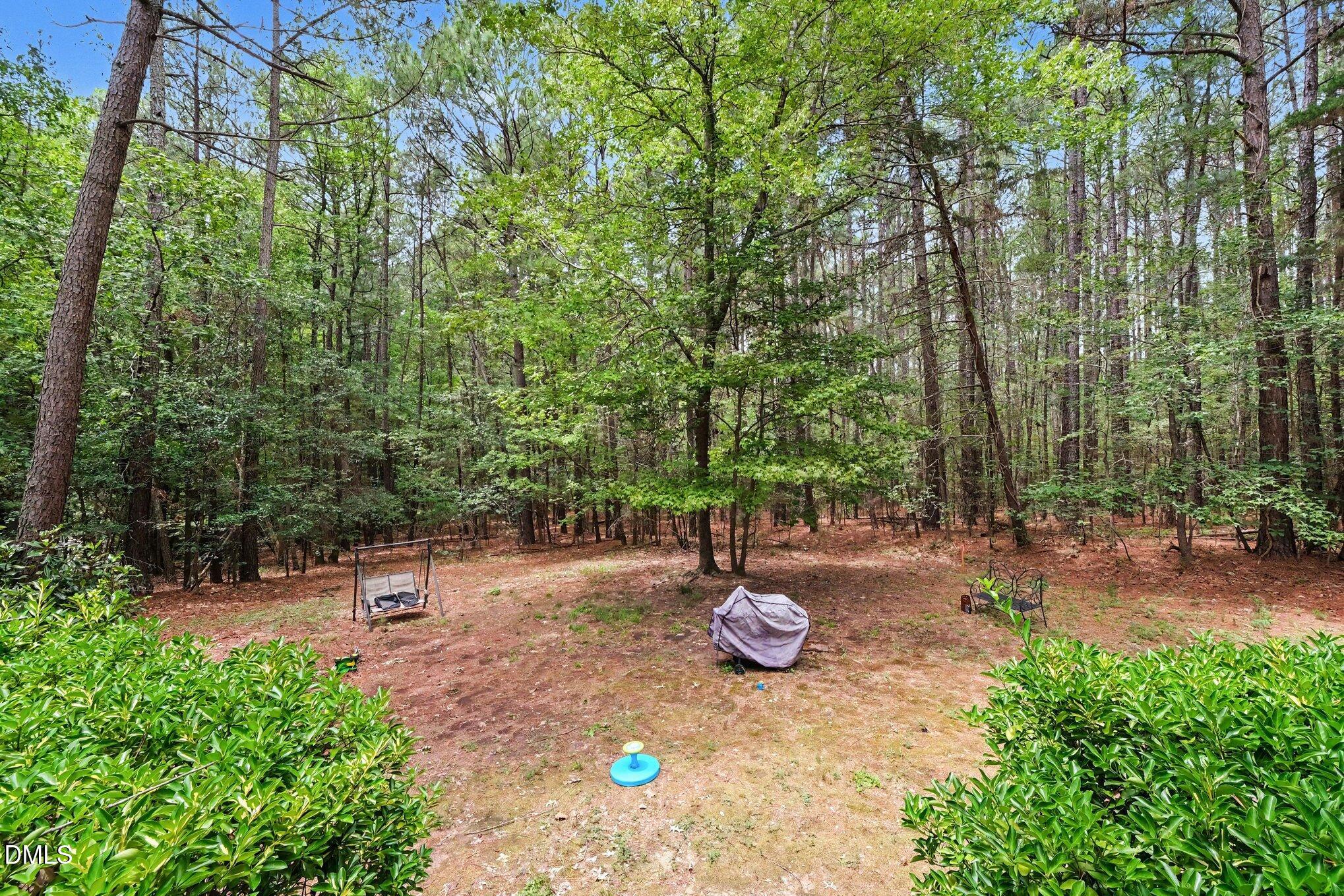 108 Cedar Street Butner, NC 27509 - Photo 28 of 29 030_file_4399