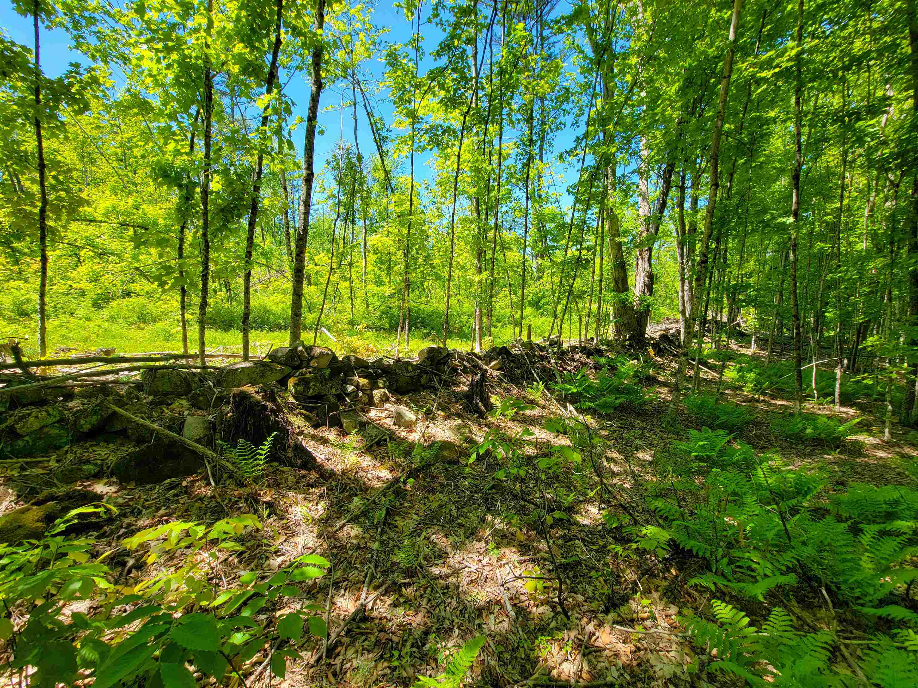 310 Sky Farm Lane Barnet, VT 05821 - Photo 41 of 59