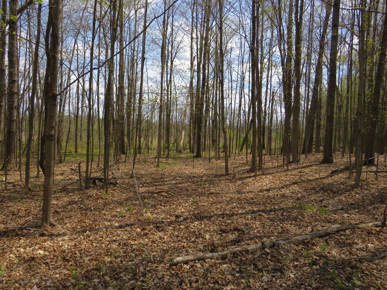 Peoples Road Blanchard, MI 49310 - Photo 13 of 26