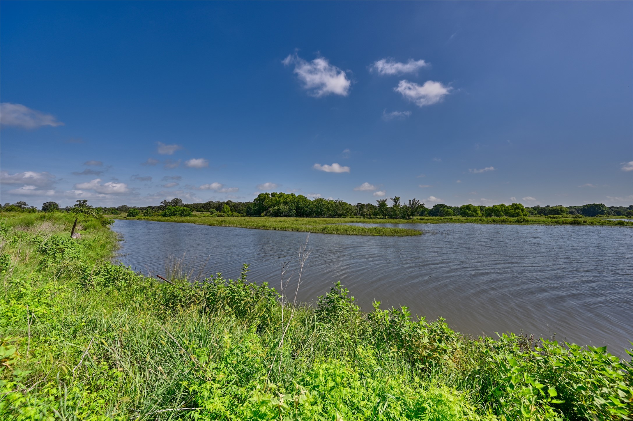 a view of a lake from a yard