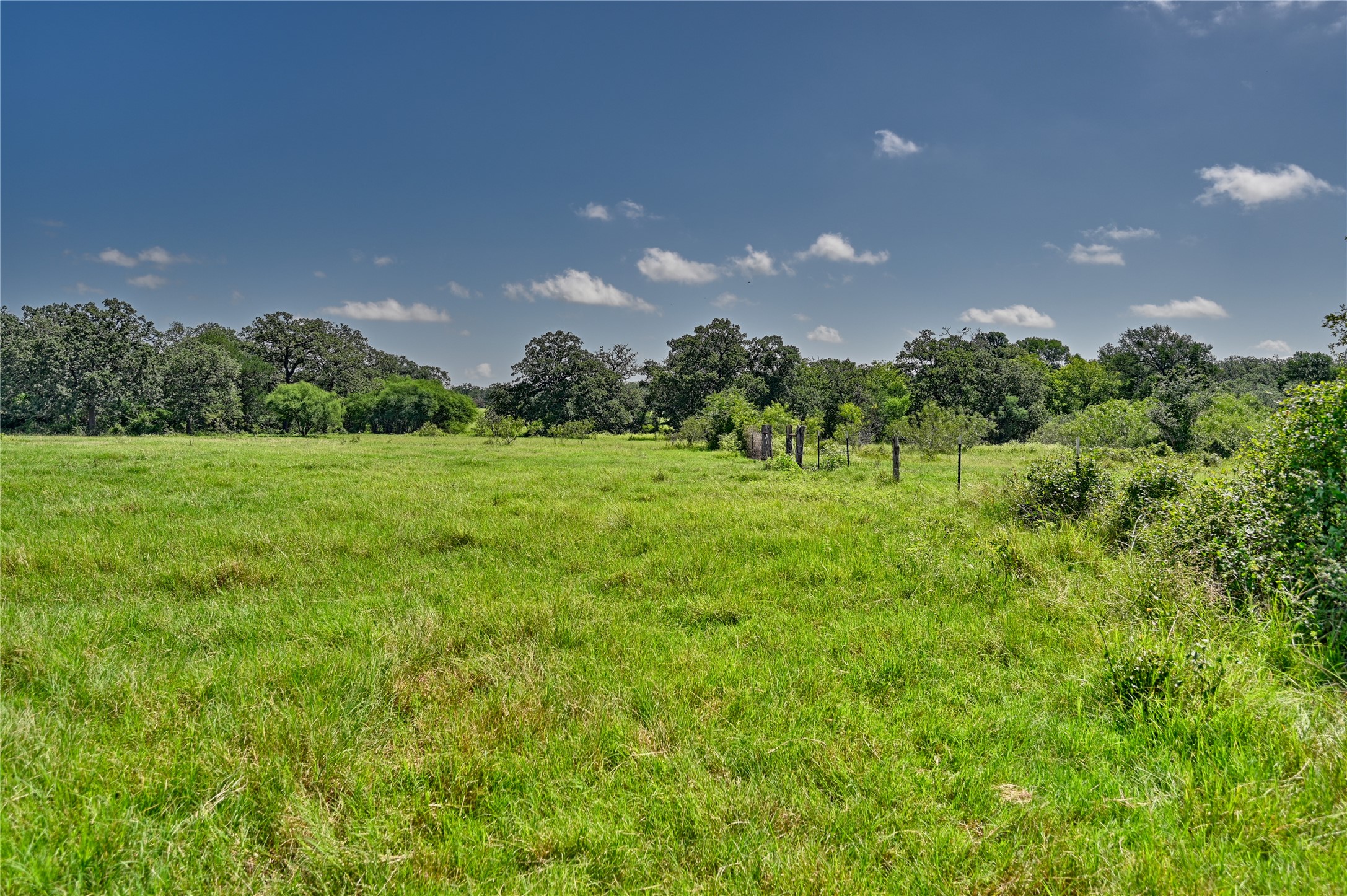514 Trailer Park Road Carmine, TX 78932 - Photo 11 of 19 a view of a big yard with green space