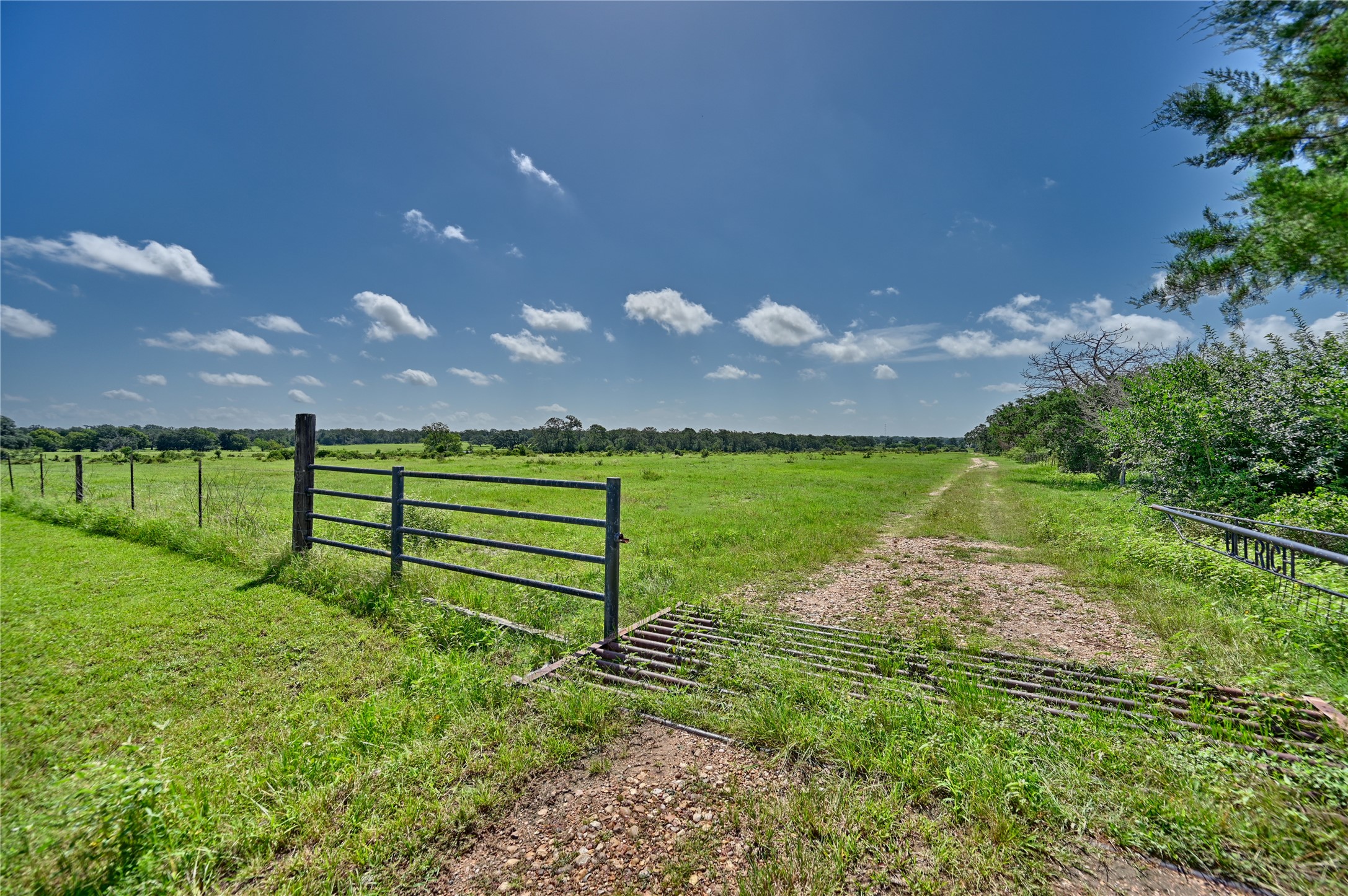 514 Trailer Park Road Carmine, TX 78932 - Photo 12 of 19 a view of a park with large trees