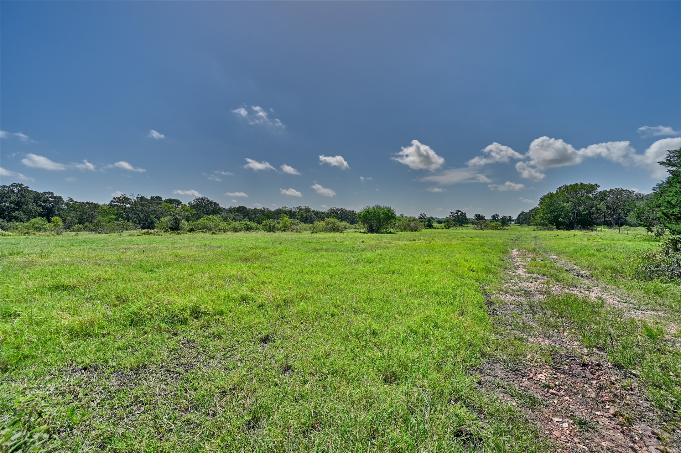 514 Trailer Park Road Carmine, TX 78932 - Photo 14 of 19 a view of a golf course with a big yard