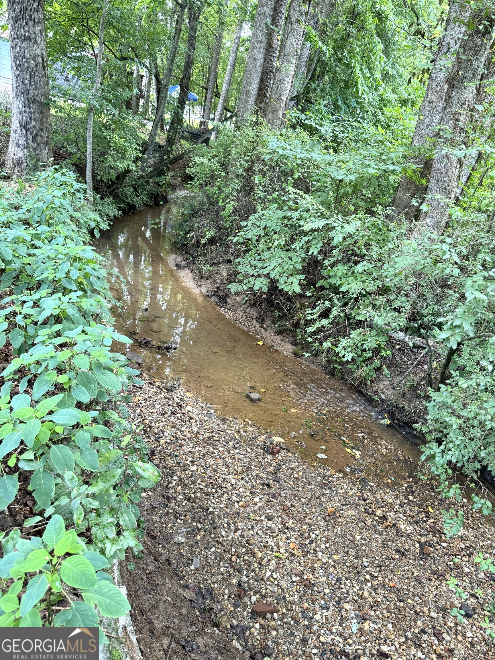 279 Leisure Acres Drive Cleveland, GA 30528 - Photo 40 of 40 a view of a garden with plants