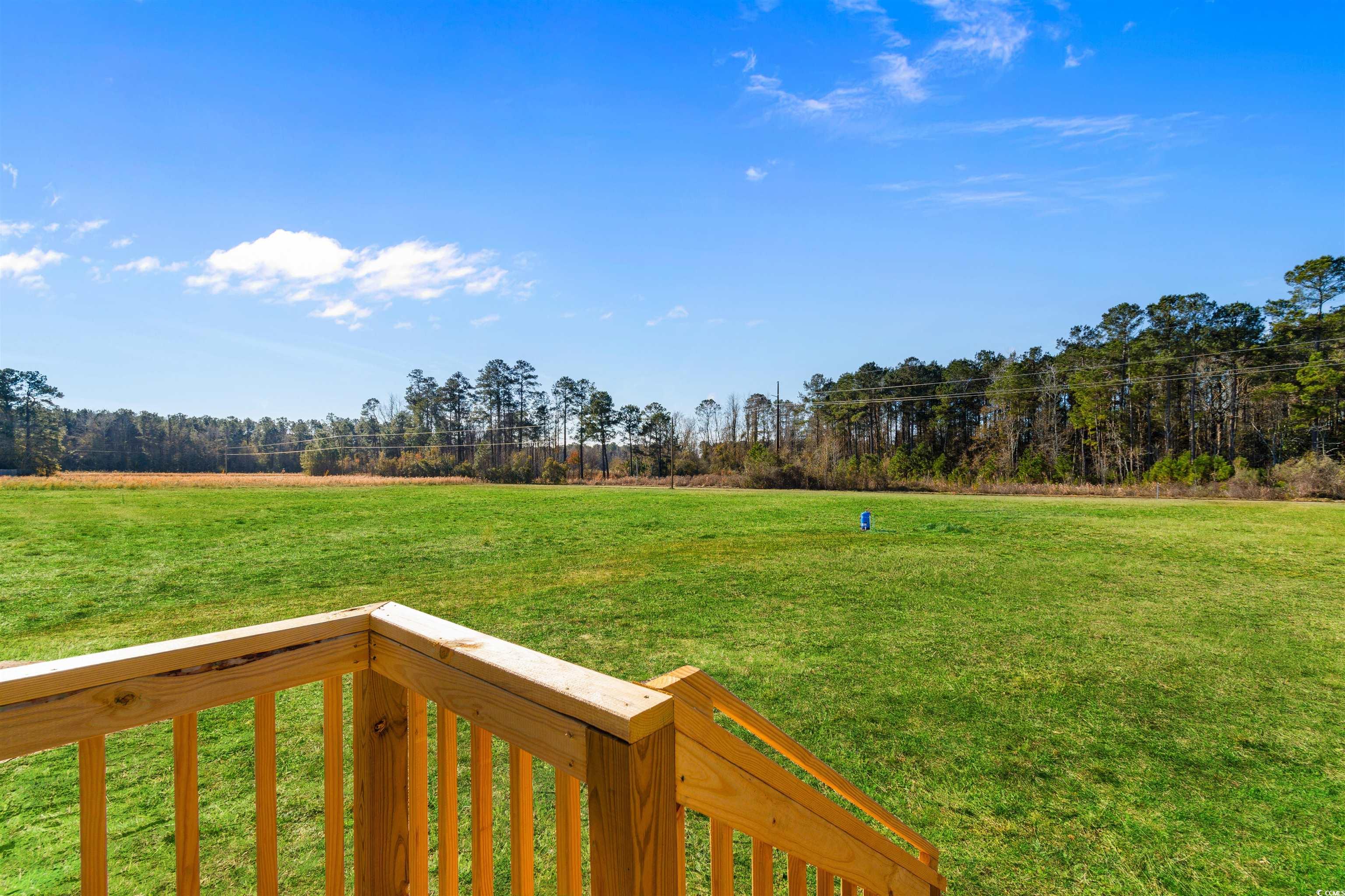 5988 Pleasant View Church Road Nichols, SC 29581 - Photo 25 of 40 View of yard