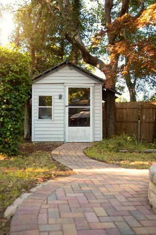 a plant is in a garden