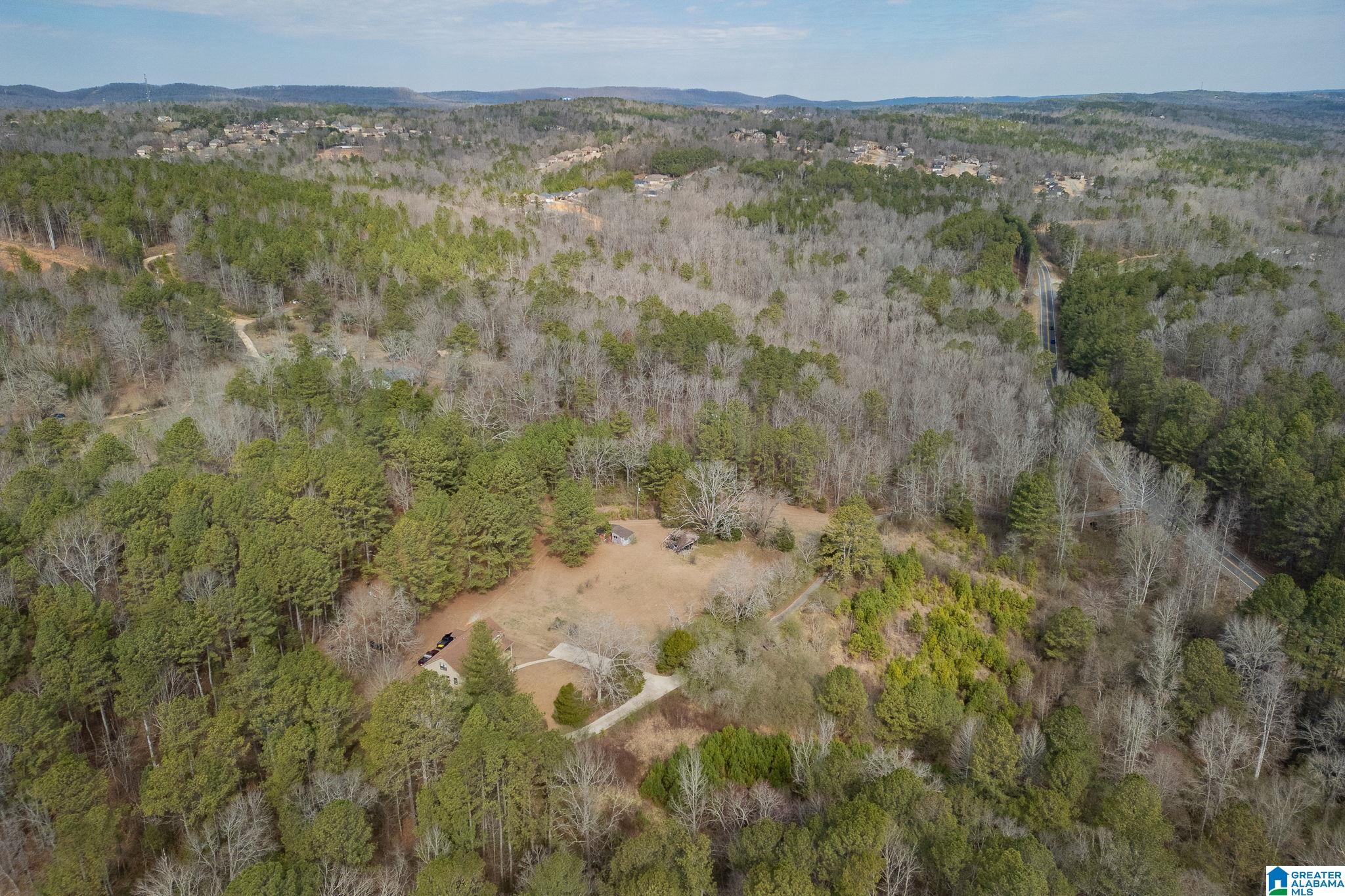 2050 Argo Margaret Road Odenville, AL 35120 - Photo 53 of 61