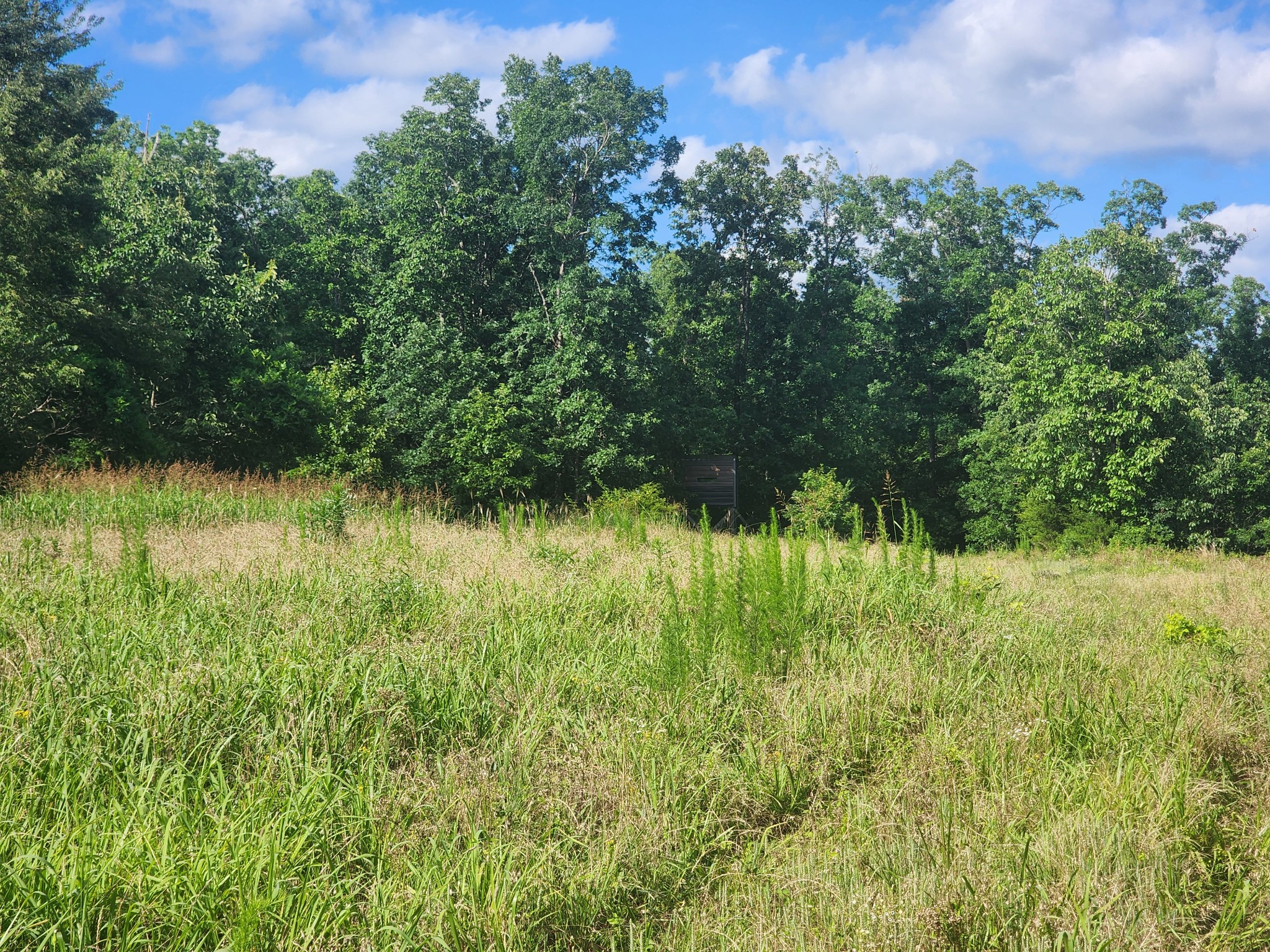0 Sinking Creek Road Linden, TN 37096 - Photo 23 of 23