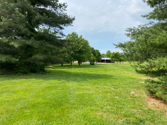 11426 East Radisson Road Mount Vernon, IL 62864 - Photo 51 of 56 a view of a grassy field with trees
