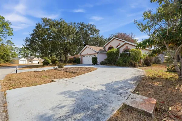 a house with tree in front of it