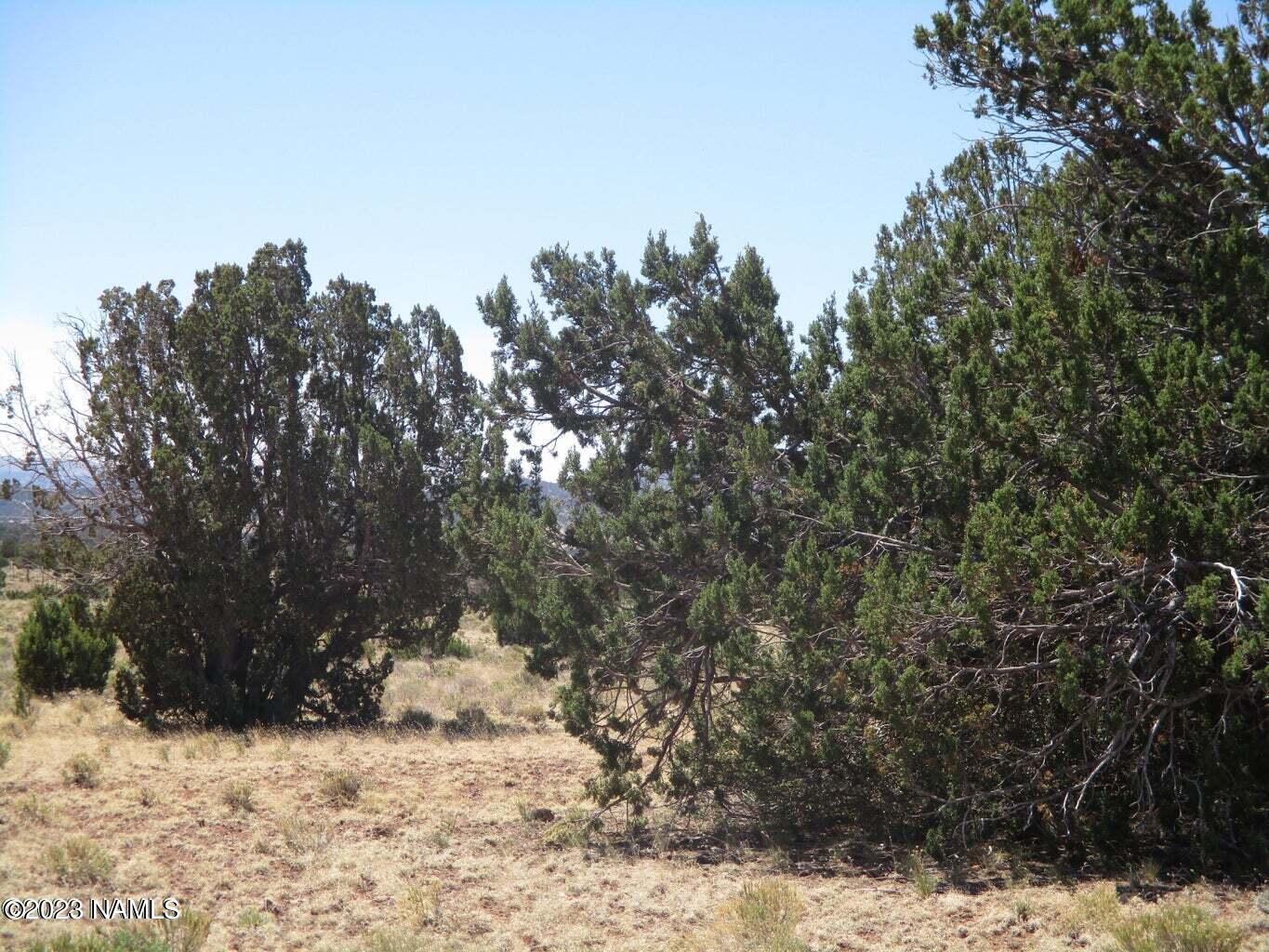7774 Lasso Loop, Unit 446 Williams, AZ 86046 - Photo 11 of 23 20220616170817422394000000-o