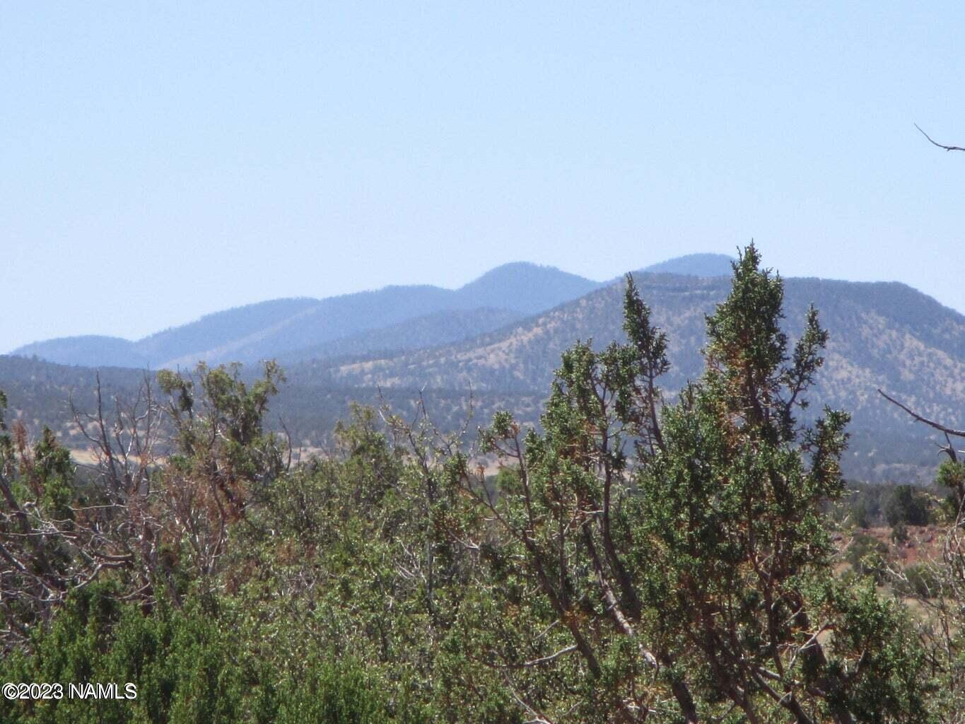 7774 Lasso Loop, Unit 446 Williams, AZ 86046 - Photo 12 of 23 20220616170927545592000000-o