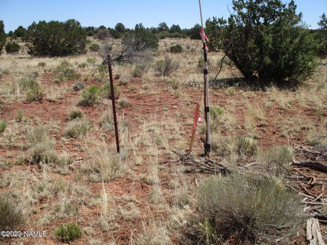 7774 Lasso Loop, Unit 446 Williams, AZ 86046 - Photo 13 of 23 20220616171057901429000000-o