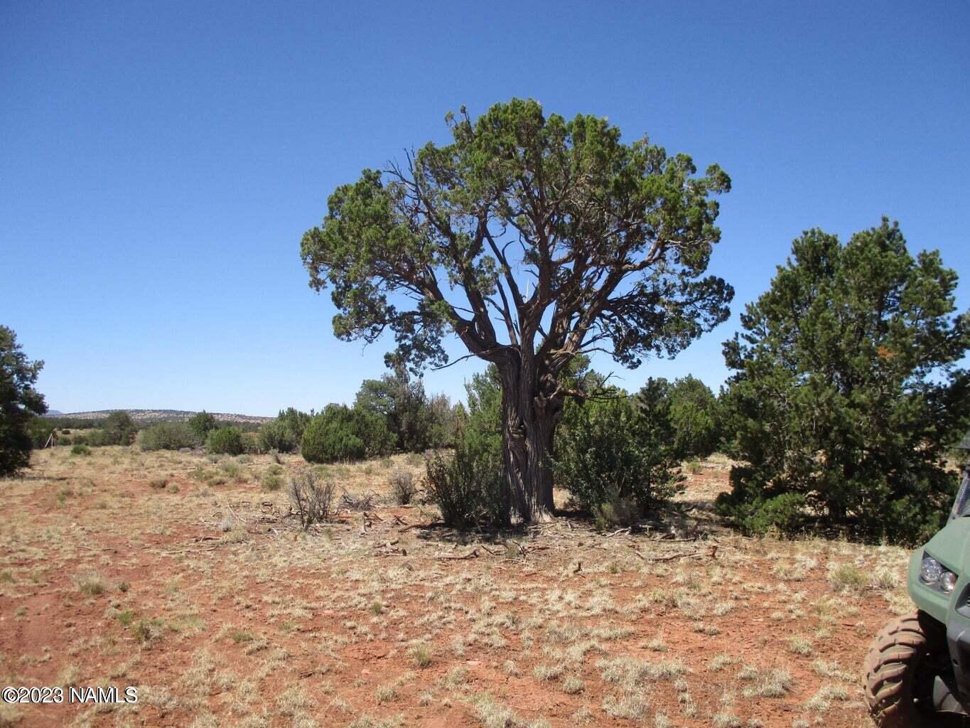 7774 Lasso Loop, Unit 446 Williams, AZ 86046 - Photo 15 of 23 20220616171212776707000000-o