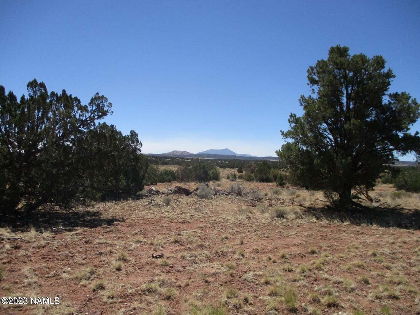 7774 Lasso Loop, Unit 446 Williams, AZ 86046 - Photo 16 of 23 20220616171318586731000000-o