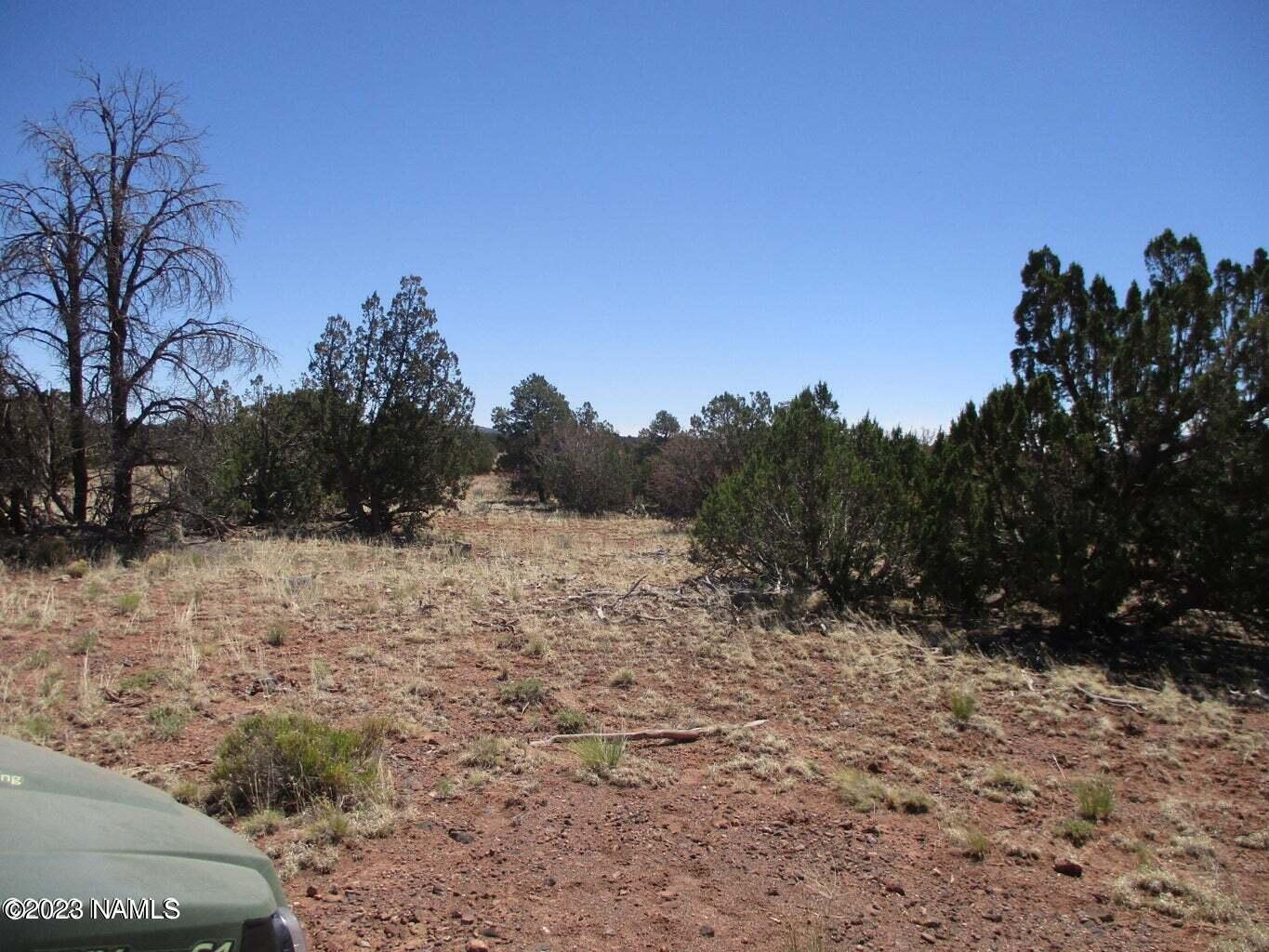 7774 Lasso Loop, Unit 446 Williams, AZ 86046 - Photo 17 of 23 20220616171351836534000000-o