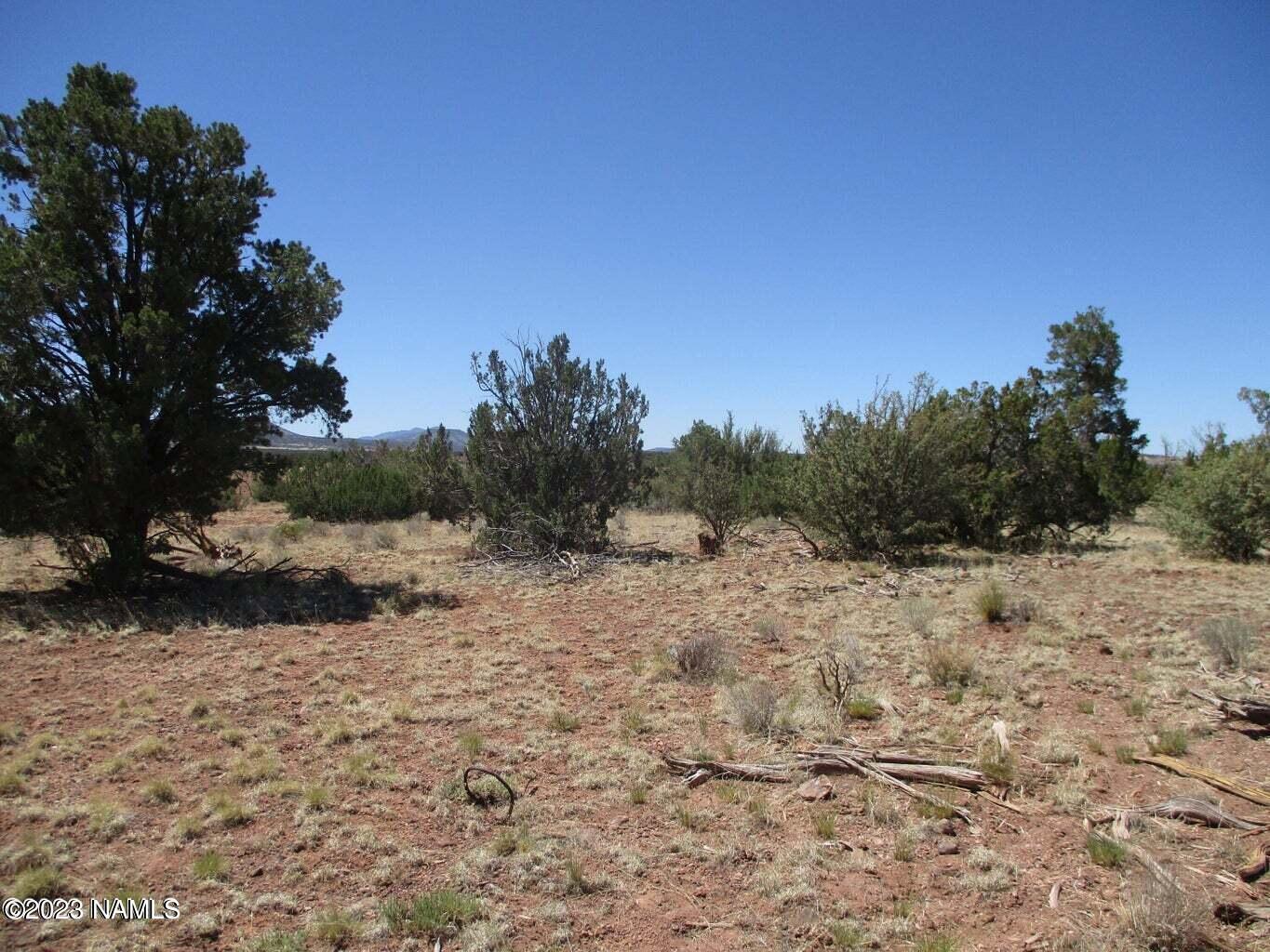 7774 Lasso Loop, Unit 446 Williams, AZ 86046 - Photo 18 of 23 20220616171424753557000000-o