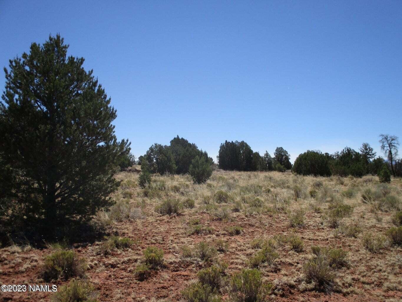 7774 Lasso Loop, Unit 446 Williams, AZ 86046 - Photo 19 of 23 20220616171603715656000000-o