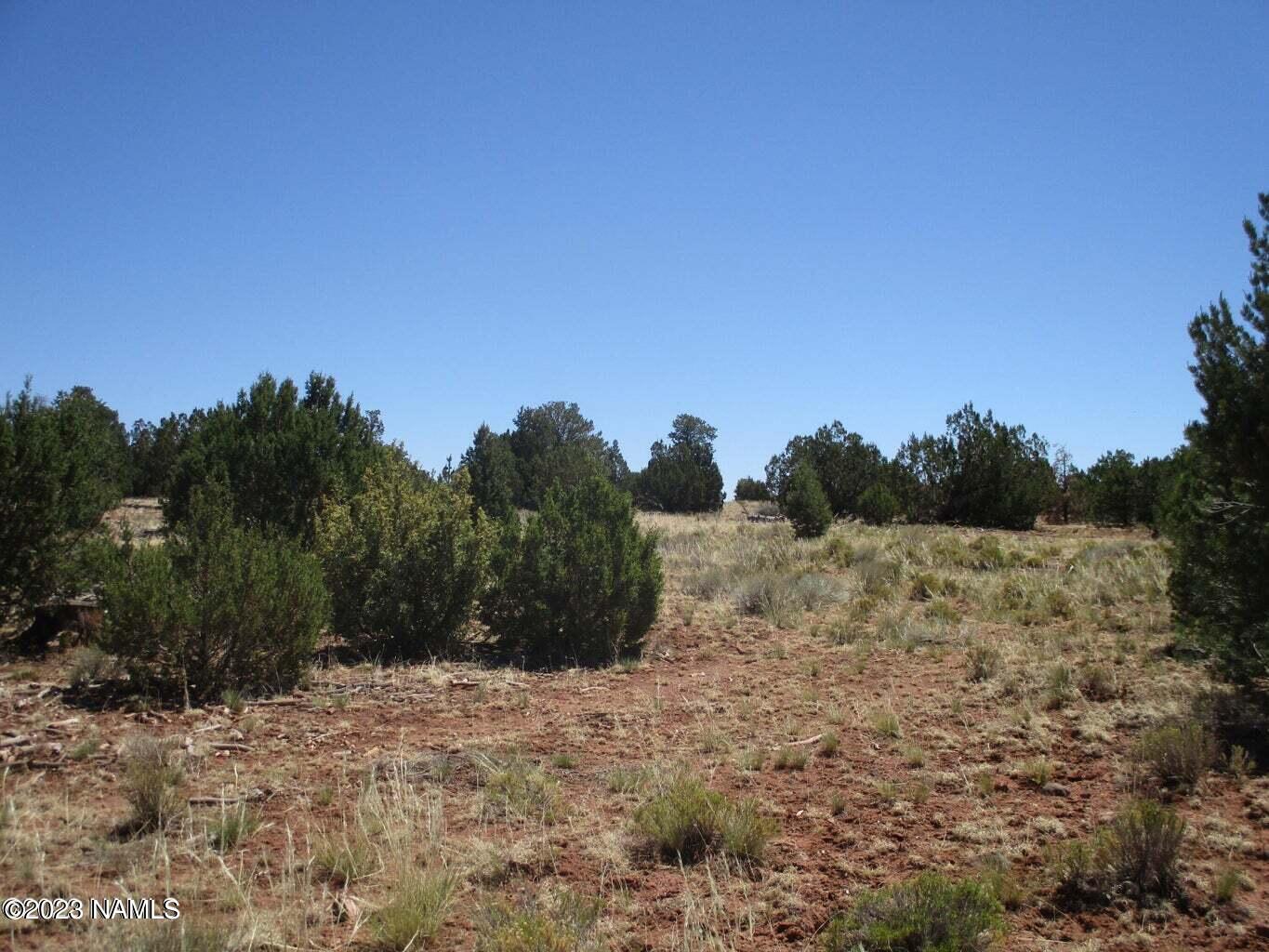 7774 Lasso Loop, Unit 446 Williams, AZ 86046 - Photo 20 of 23 20220616171639298522000000-o