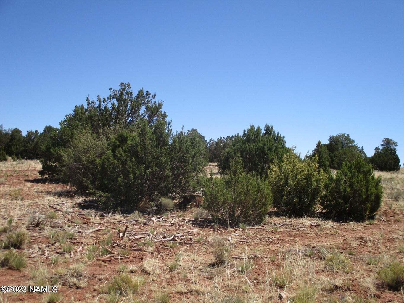 7774 Lasso Loop, Unit 446 Williams, AZ 86046 - Photo 21 of 23 20220616171718857721000000-o