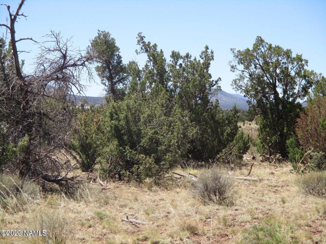 7774 Lasso Loop, Unit 446 Williams, AZ 86046 - Photo 23 of 23 20220616171841235863000000-o