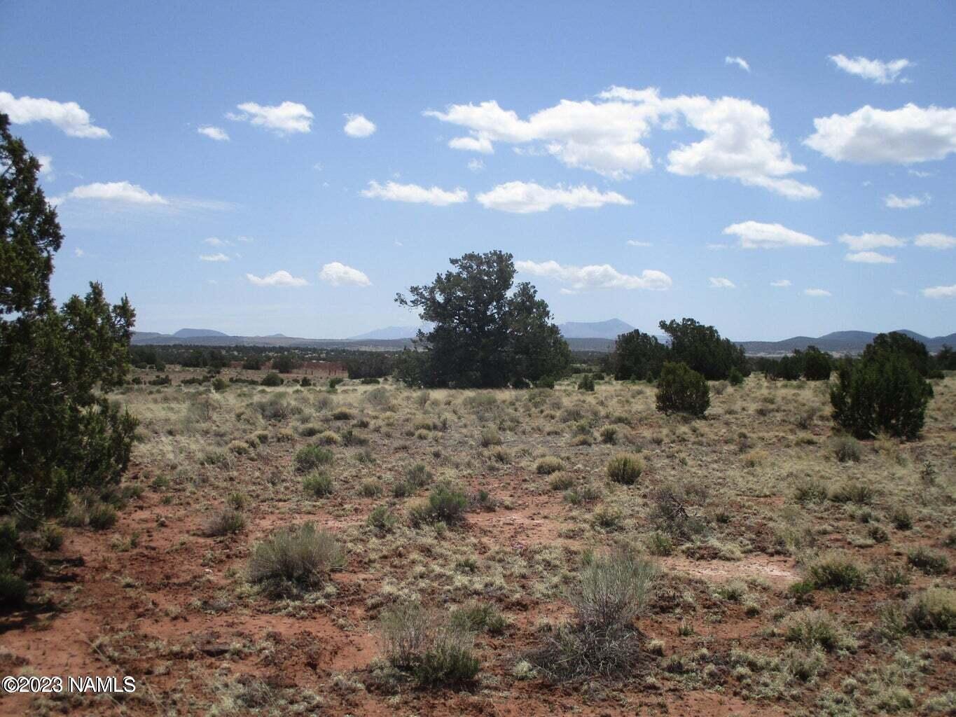 7774 Lasso Loop, Unit 446 Williams, AZ 86046 - Photo 4 of 23 20220508193312043621000000-o