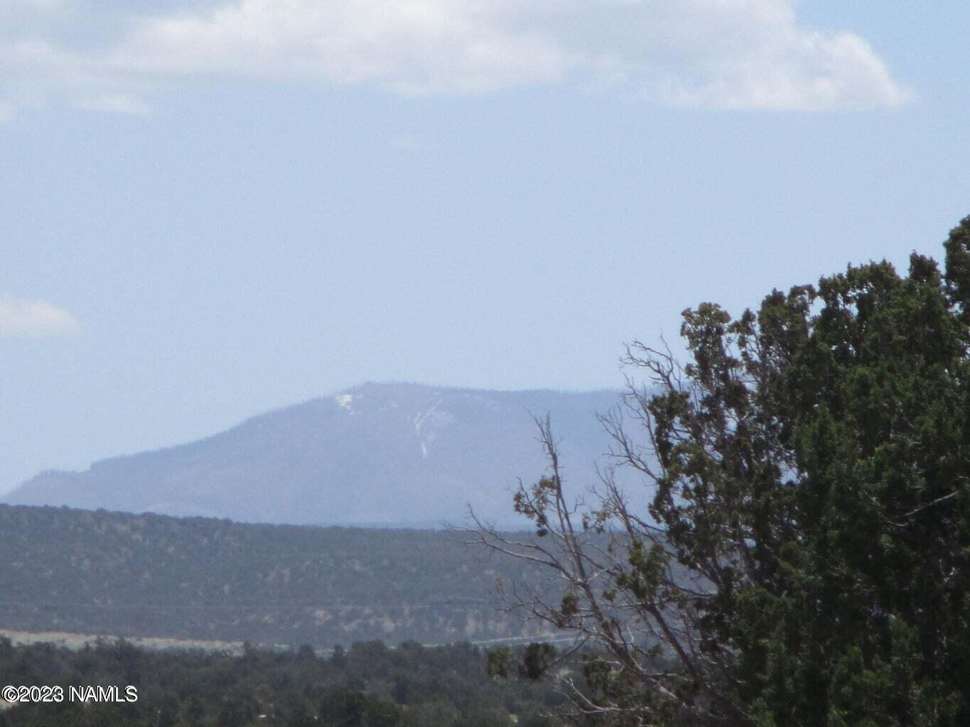 7774 Lasso Loop, Unit 446 Williams, AZ 86046 - Photo 8 of 23 20220508193633582243000000-o