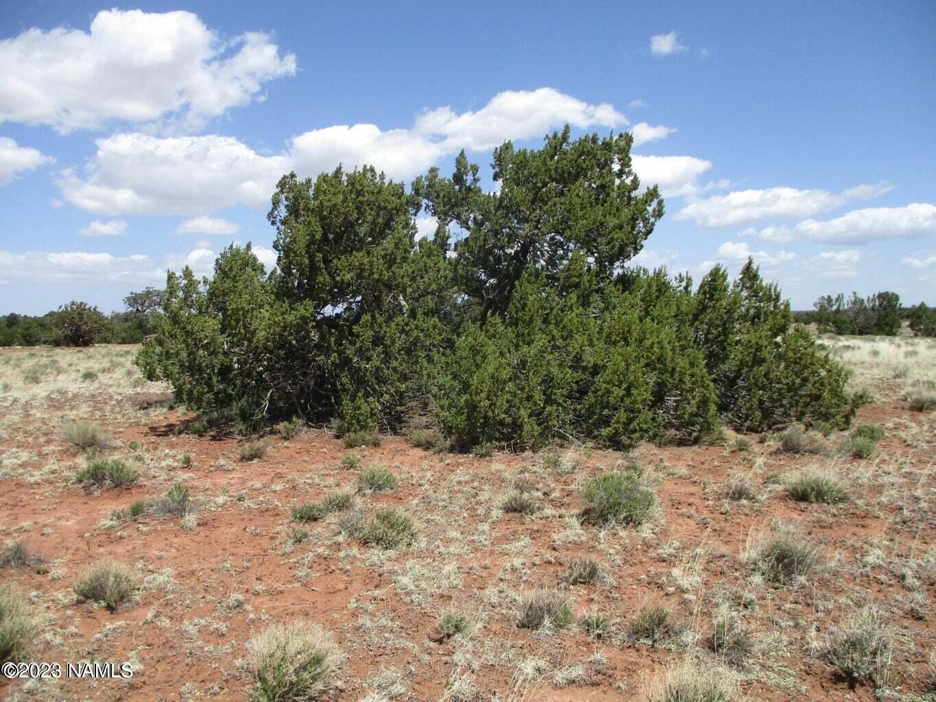 7774 Lasso Loop, Unit 446 Williams, AZ 86046 - Photo 10 of 23 20220508193746797408000000-o
