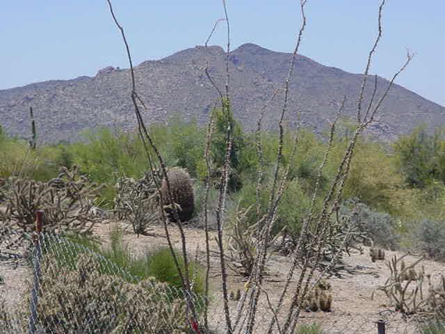 36209 North Wild Flower Road Carefree, AZ 85377 - Photo 1 of 3 Primary Photo