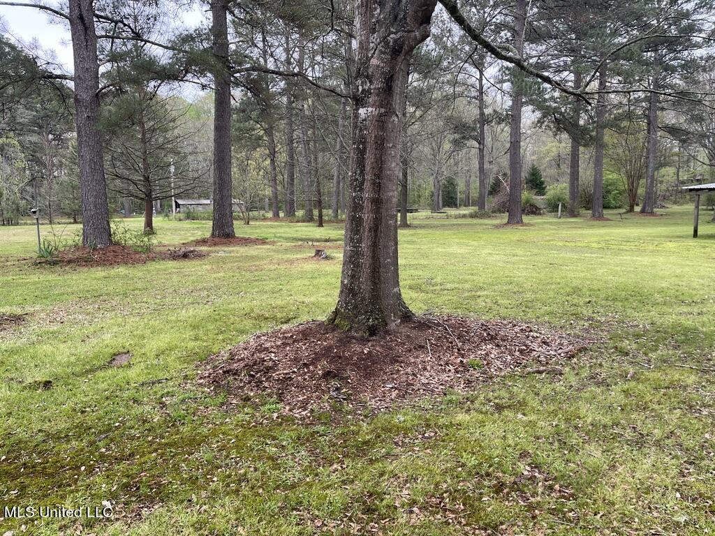 6719 Parsons Road Terry, MS 39170 - Photo 23 of 32 Property View