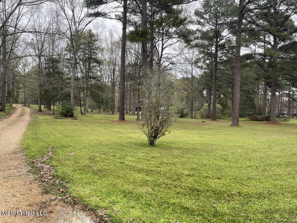 6719 Parsons Road Terry, MS 39170 - Photo 24 of 32 View of Front of Property From House