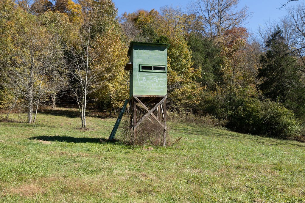 501 Tallent Road Pulaski, TN 38478 - Photo 16 of 23 a backyard of a house with childrens swings and slides