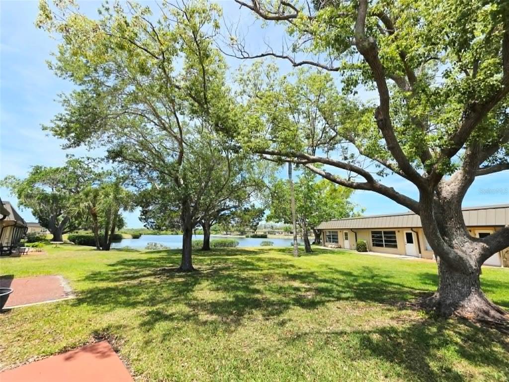 4213 Hampton Drive New Port Richey, FL 34652 - Photo 21 of 29