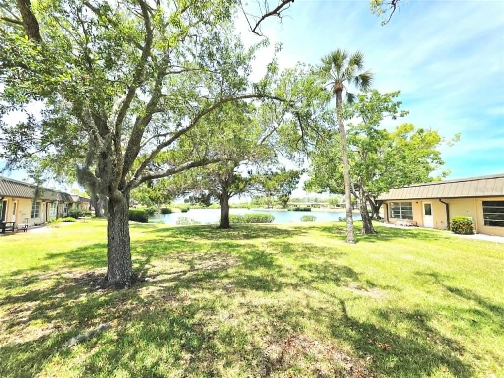 4213 Hampton Drive New Port Richey, FL 34652 - Photo 22 of 29