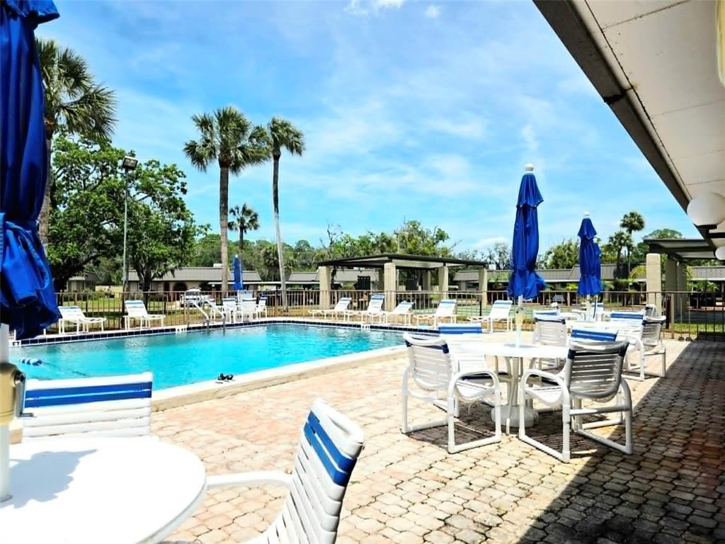 4213 Hampton Drive New Port Richey, FL 34652 - Photo 25 of 29