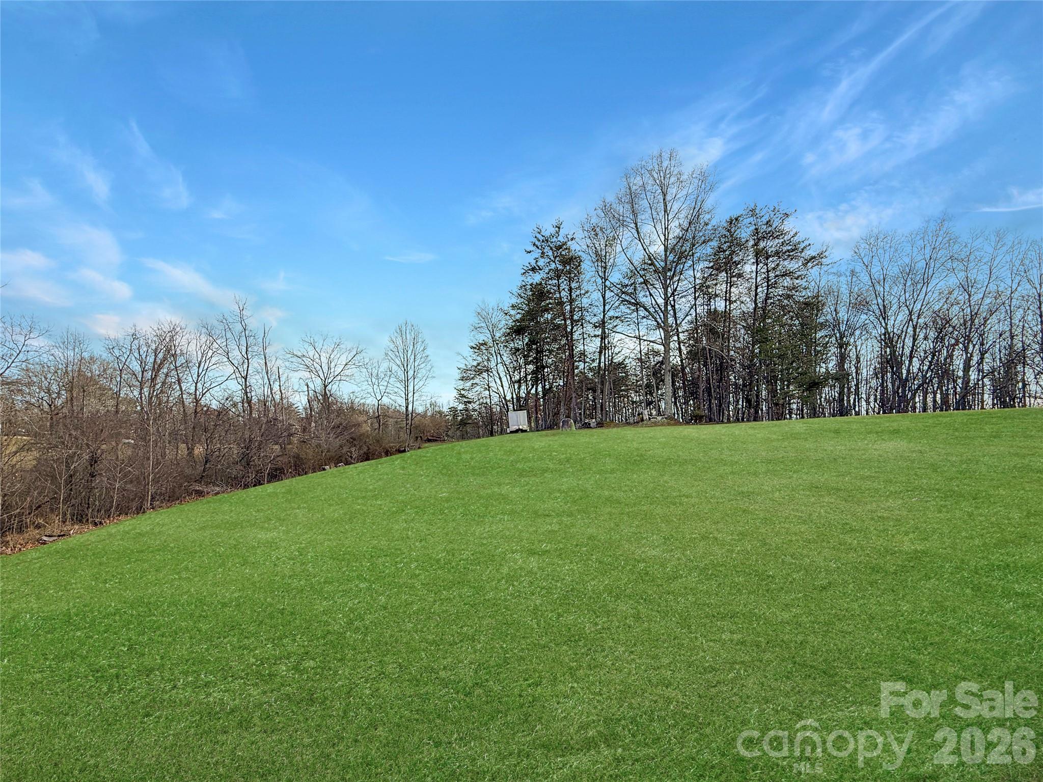 204 Freeman Ridge Trail Pilot Mountain, NC 27041 - Photo 24 of 24