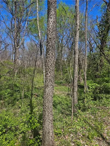 $195,000 | 1020 West Henry Street, Sedalia, MO 65301