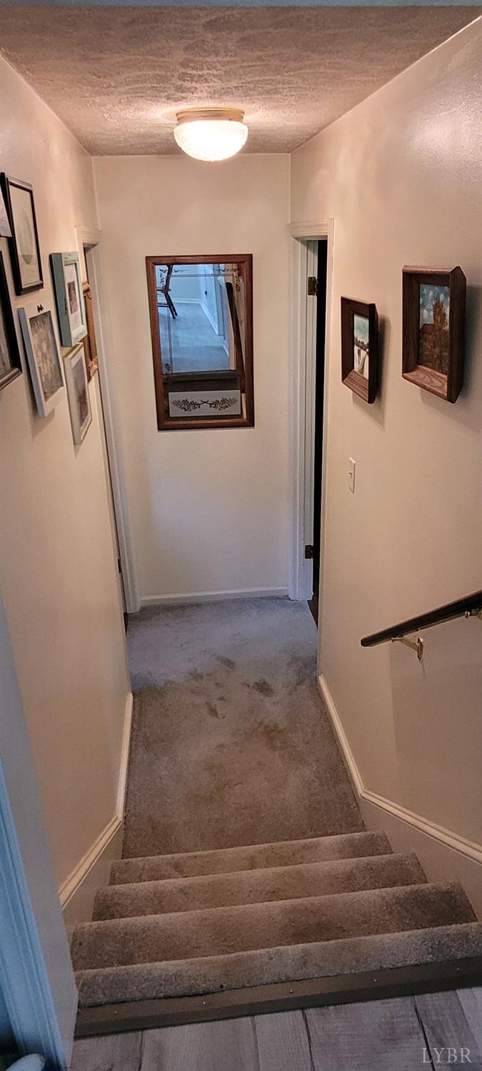 1769 Izaak Walton Road Madison Heights, VA 24572 - Photo 24 of 46