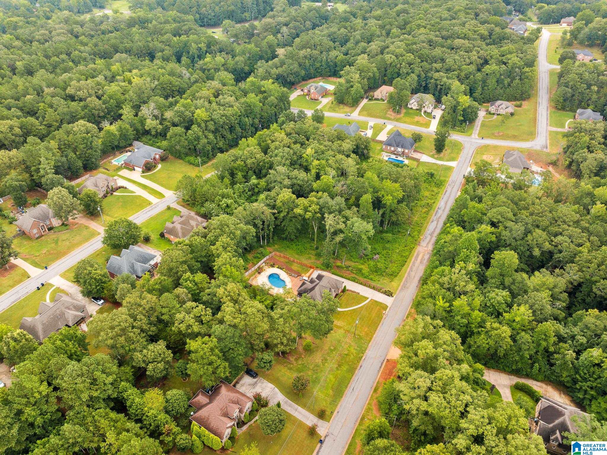 60 Highland View Drive Riverside, AL 35135 - Photo 74 of 77