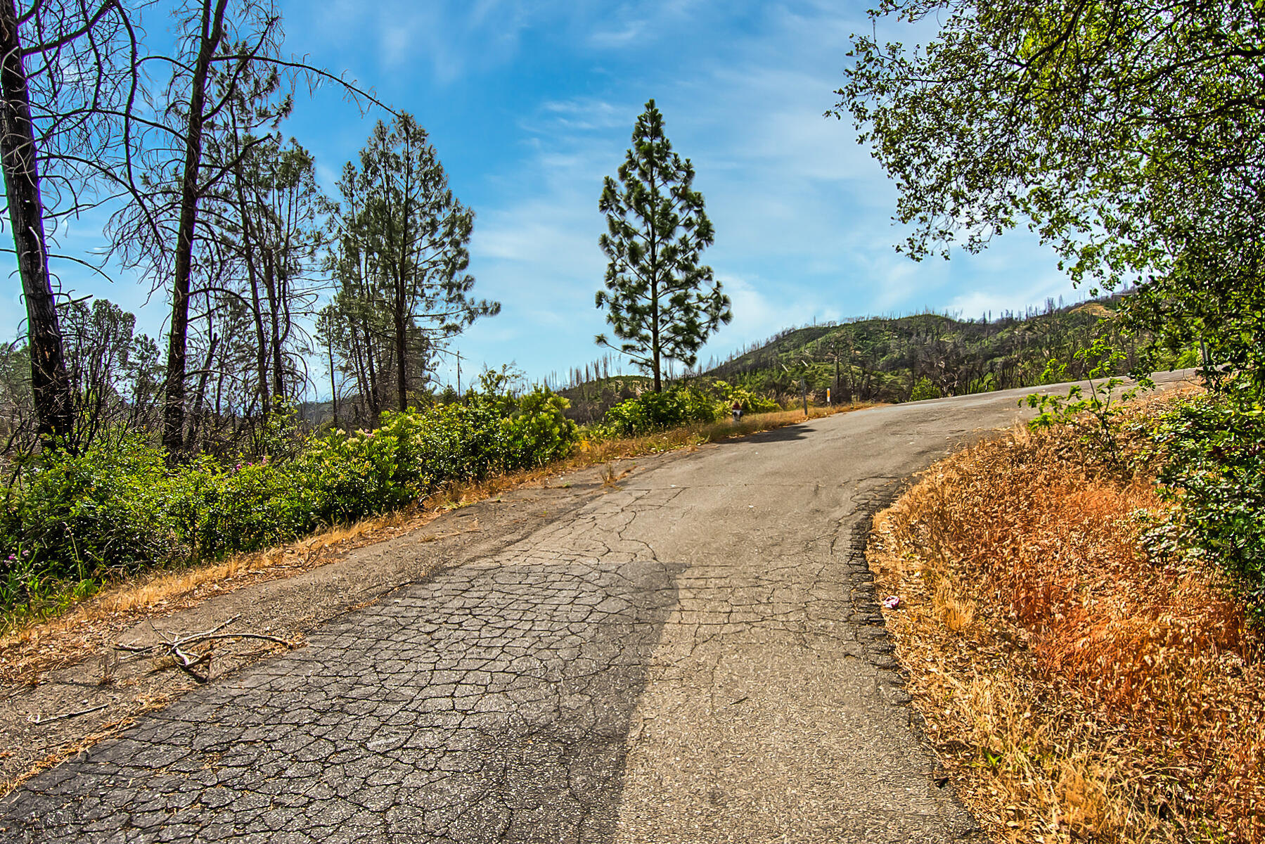 Tollhouse Road Shasta, CA 96087 - Photo 1 of 8 299 acreage-100