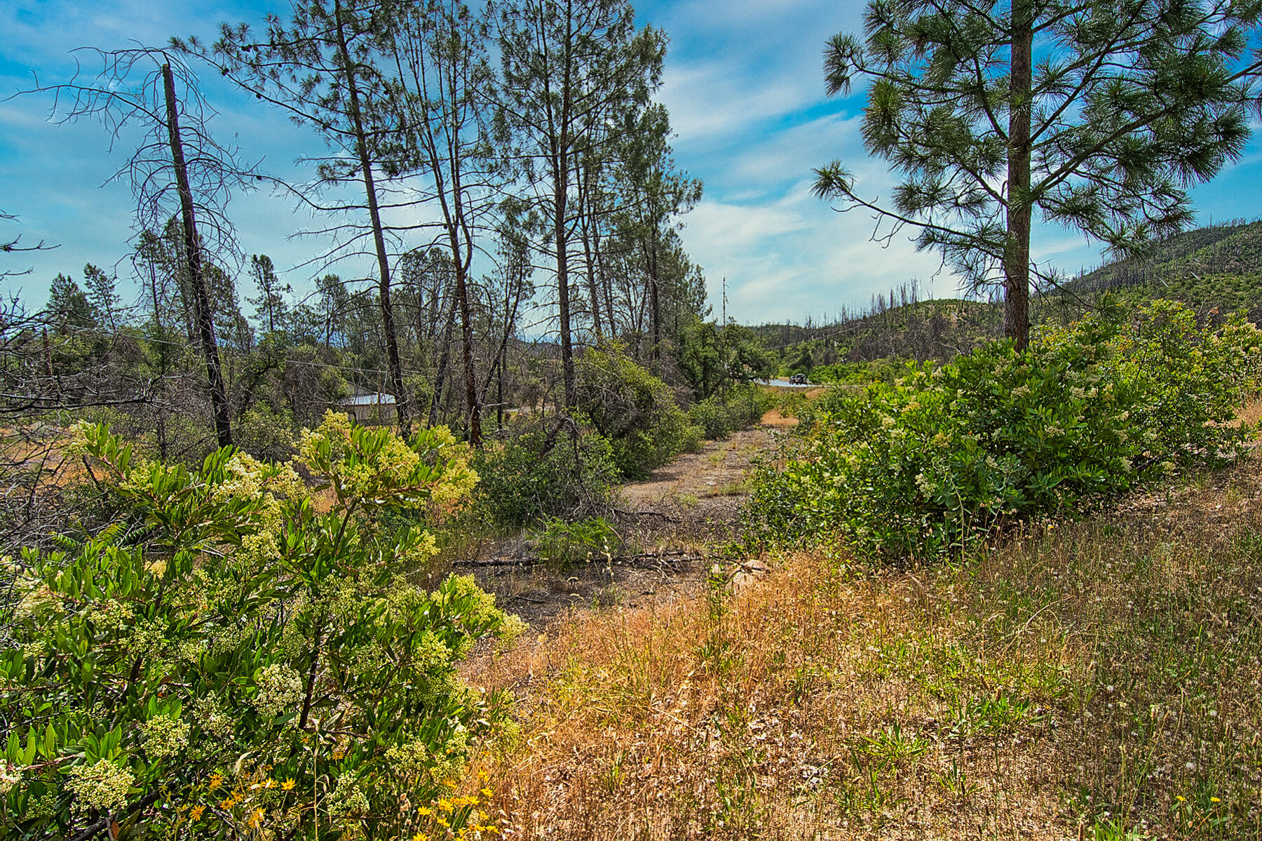 Tollhouse Road Shasta, CA 96087 - Photo 4 of 8 299 acreage-103