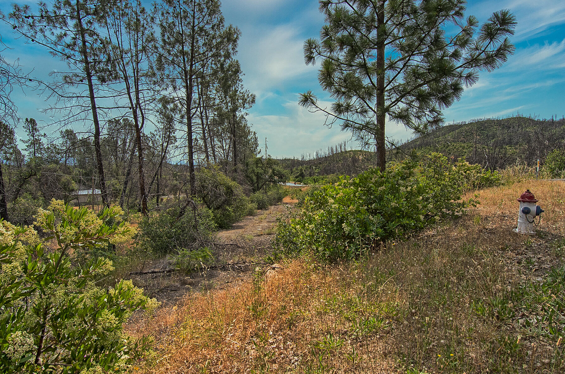 Tollhouse Road Shasta, CA 96087 - Photo 5 of 8 299 acreage-104