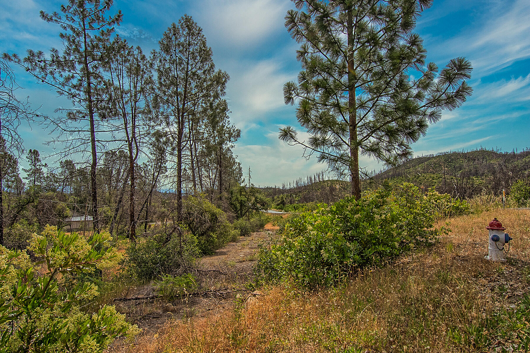 Tollhouse Road Shasta, CA 96087 - Photo 6 of 8 299 acreage-105