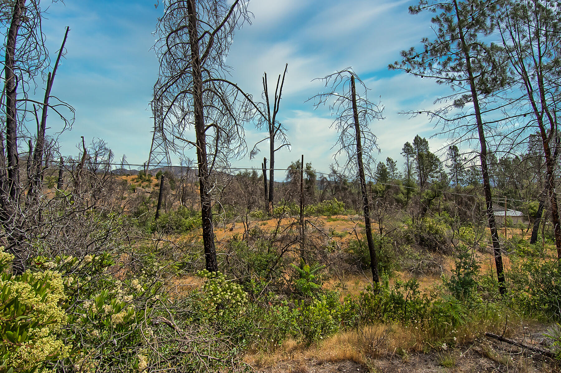 Tollhouse Road Shasta, CA 96087 - Photo 7 of 8 299 acreage-106