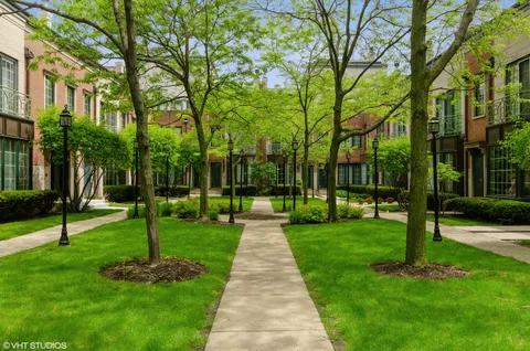a view of a park with large trees