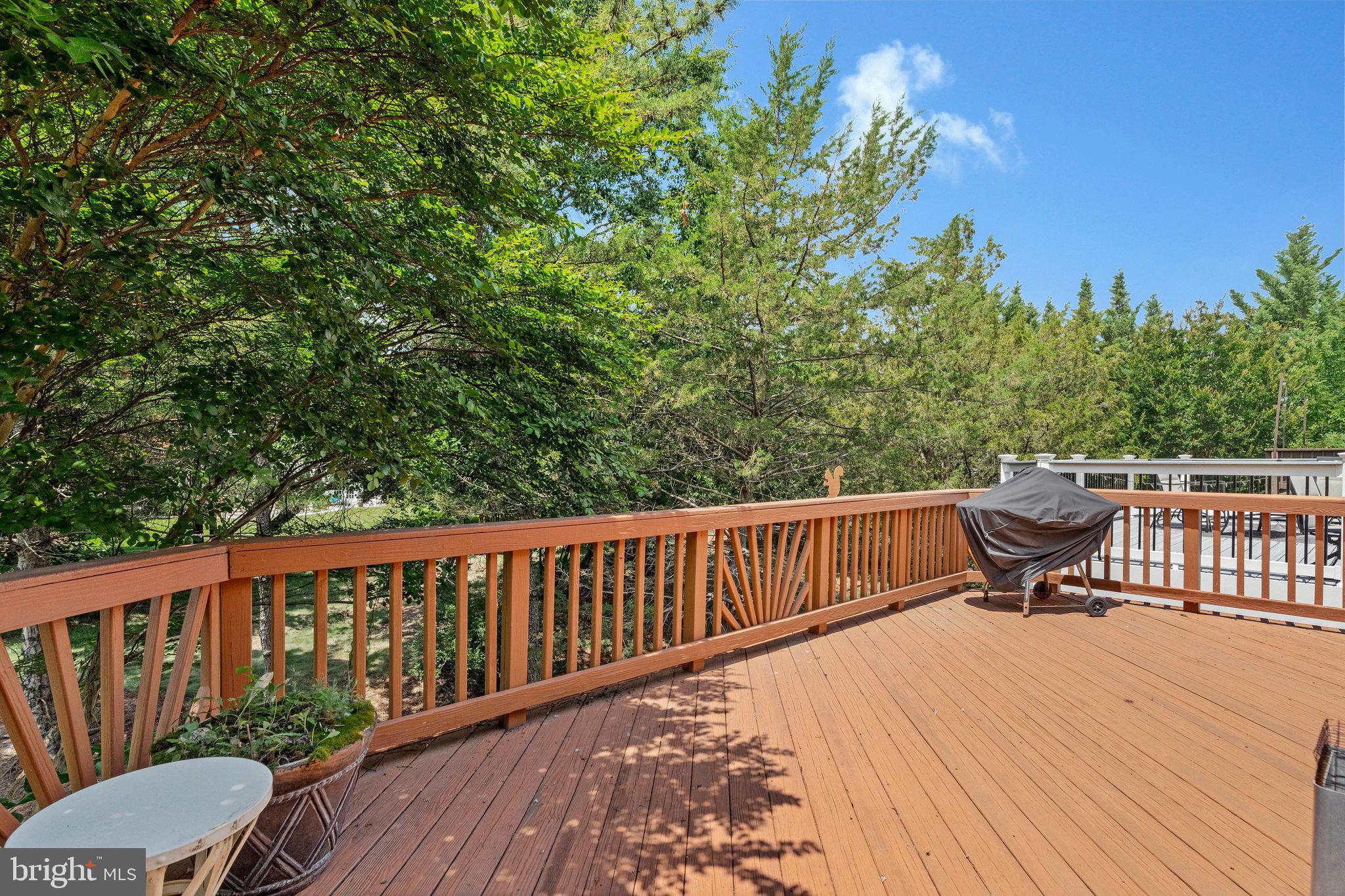 44035 Rising Sun Terrace Ashburn, VA 20147 - Photo 3 of 49 Gallery Image 3