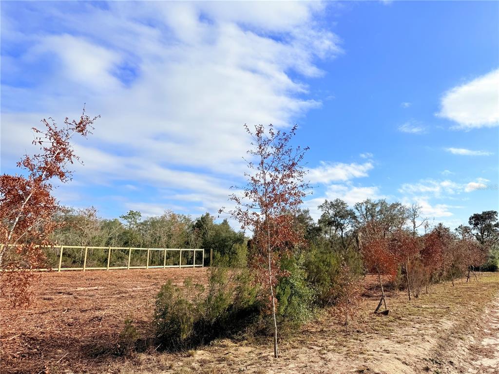 0 Northeast 67th Lane Williston, FL 32696 - Photo 2 of 7 a view of an outdoor space with mountain view