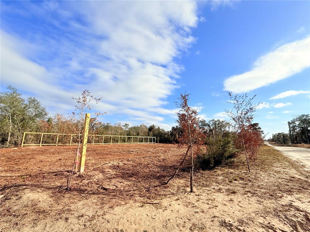 0 Northeast 67th Lane Williston, FL 32696 - Photo 7 of 7 a view of a basketball court