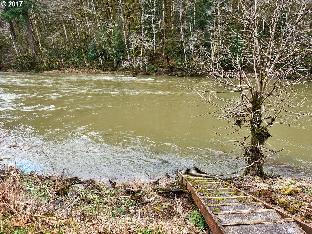 79624 Lower Nehalem Road Seaside, OR 97138 - Photo 13 of 28